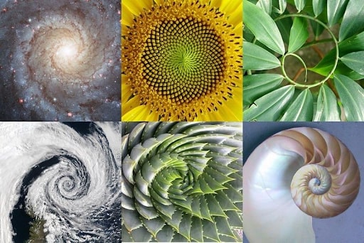 Golden Ratio